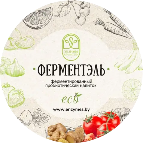 Ферментированные овощные напитки фото 2