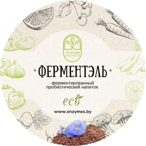 Ферментированные овощные напитки фото 3