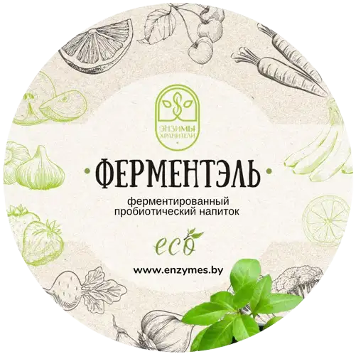 Ферментированный напиток «Джинура»