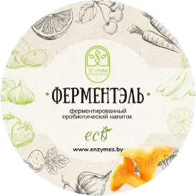 Ферментированный напиток