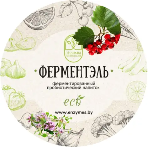 Ферментированный напиток фото 2