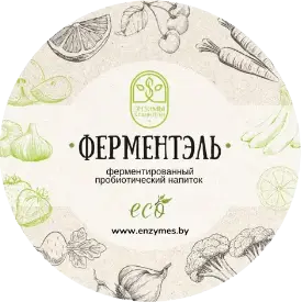 Ферментированный напиток «Арбуз»