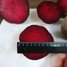 Свекла мытая