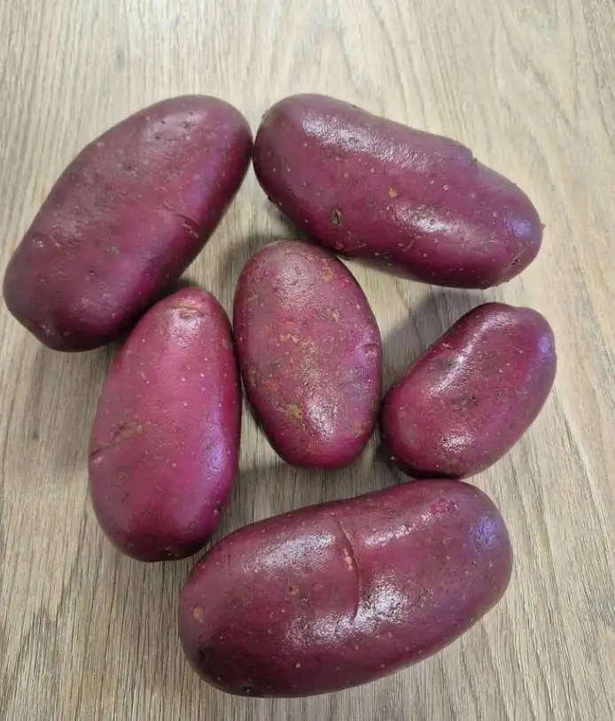 Thumb 1