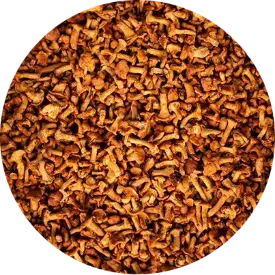 Лисичка солёная