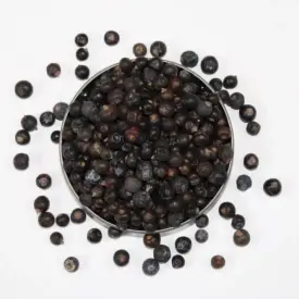 Можжевельник