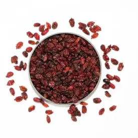 Барбарис красный