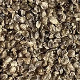 Конопляный жмых