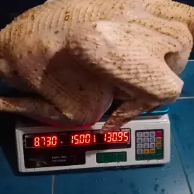 Индейка, утка.