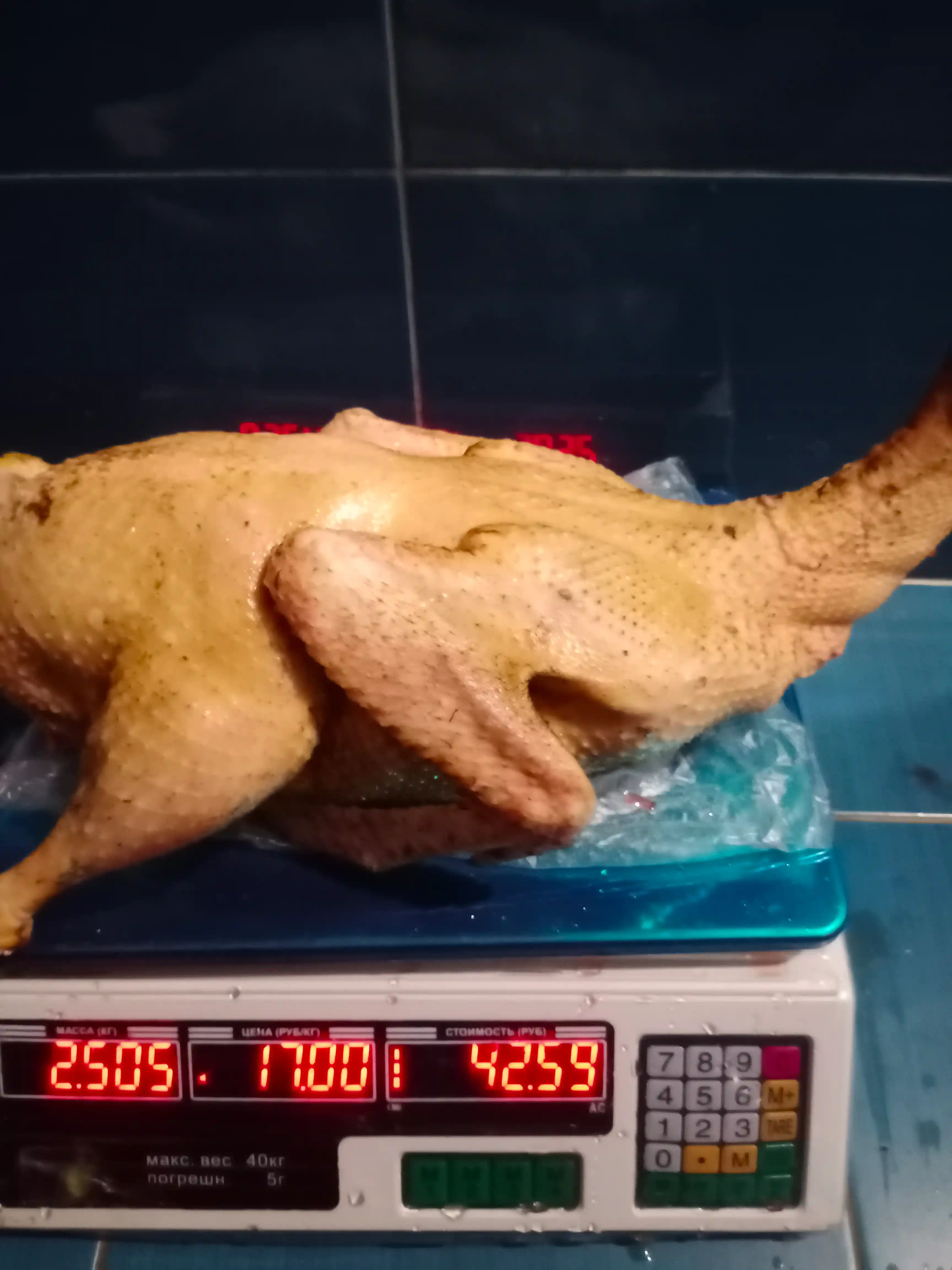 Индейка, утка. фото 2