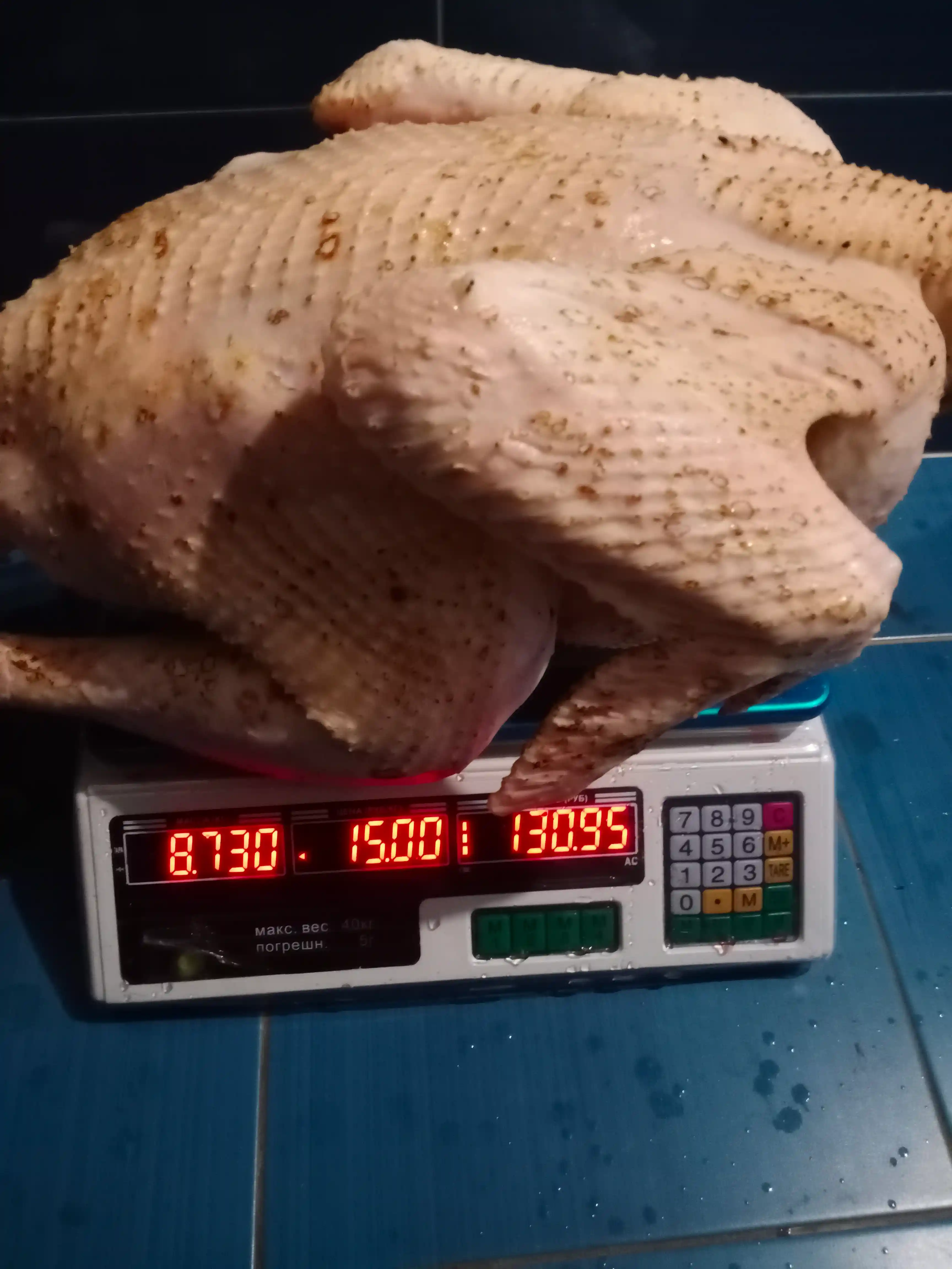 Индейка, утка. фото 1