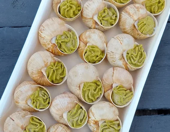 Набор 18 улиток в раковинах под соусом "Укроп"