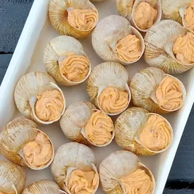 Набор 18 улиток в раковинах под соусом "Томаты"