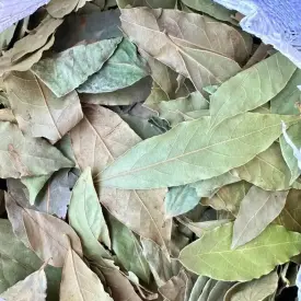 Лавровый лист