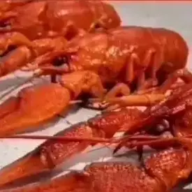 Живые раки