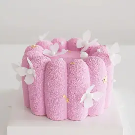 Муссовые бенто-торты