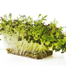 Микрозелень мизуны беби, лист