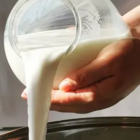 Молоко коровье породы Джерси А2