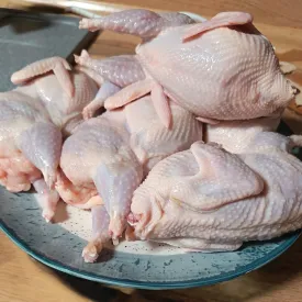 Перепелиное домашнее мясо