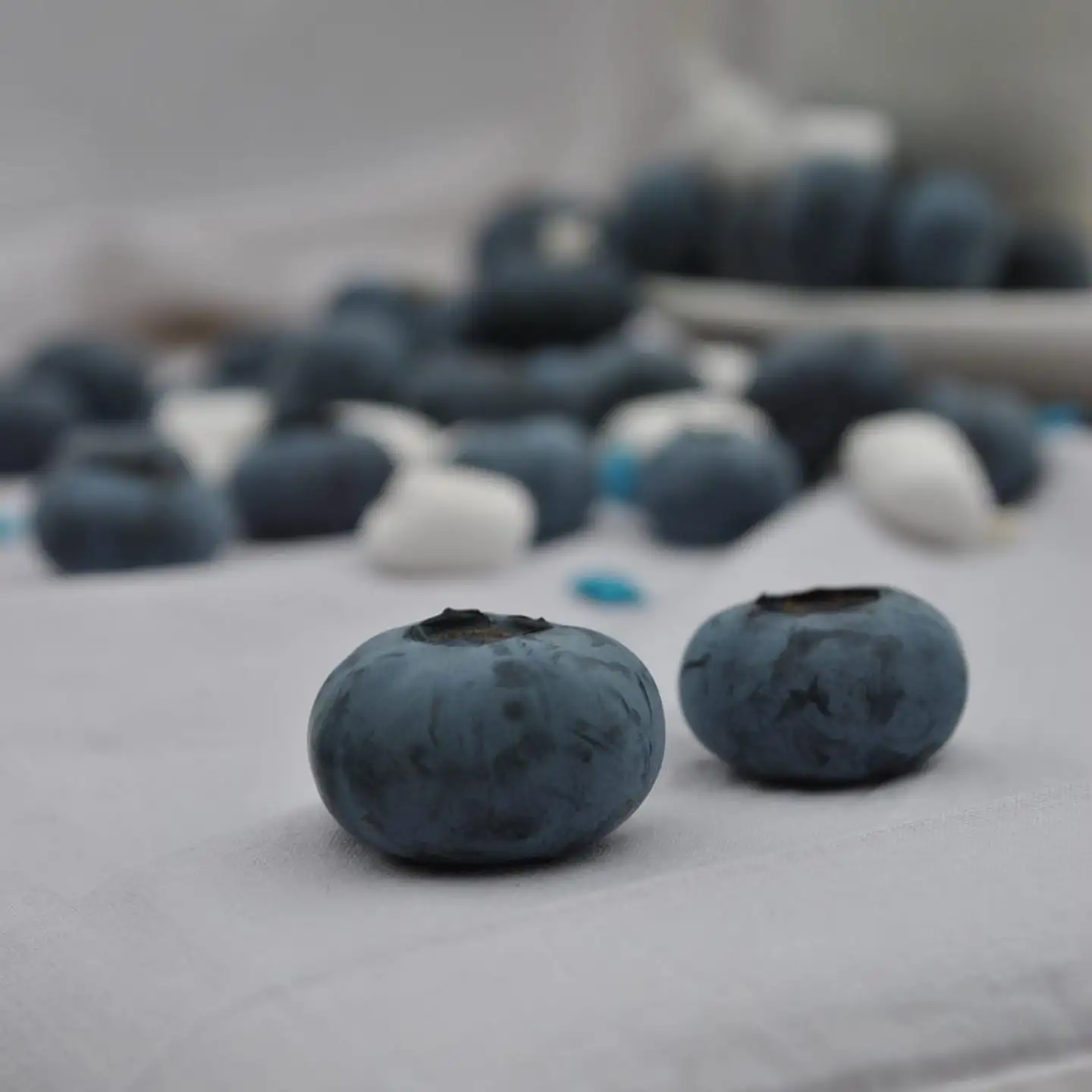 Саженцы голубики Нортланд фото 2