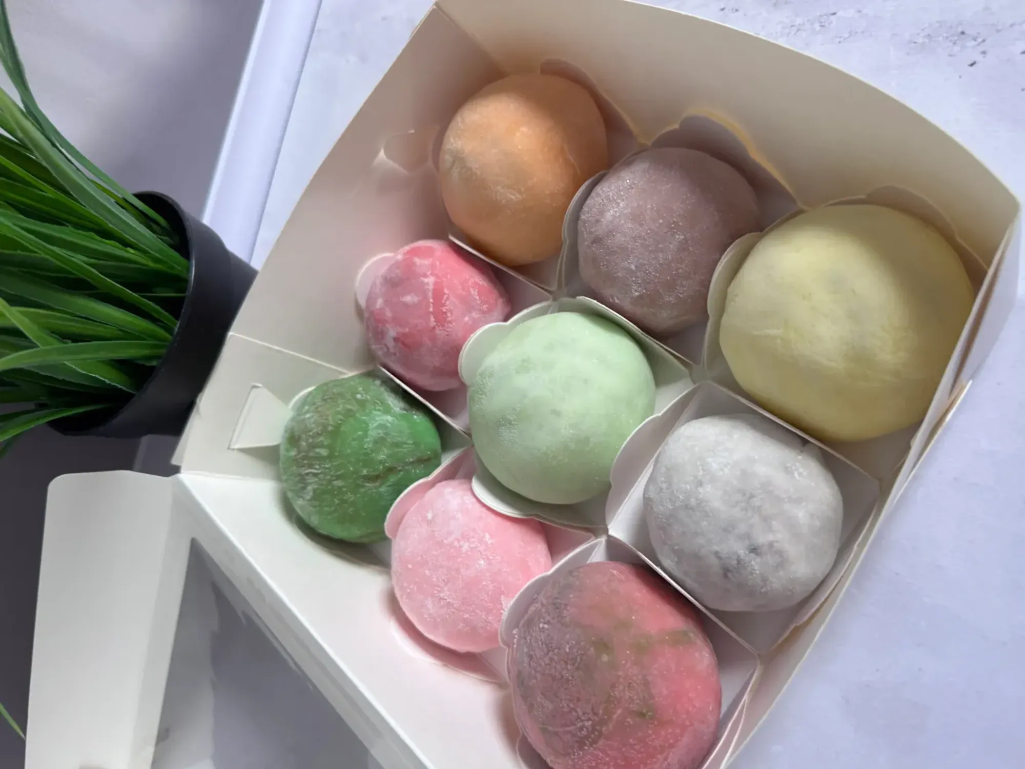 Моти  фото 1