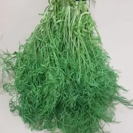 Укроп