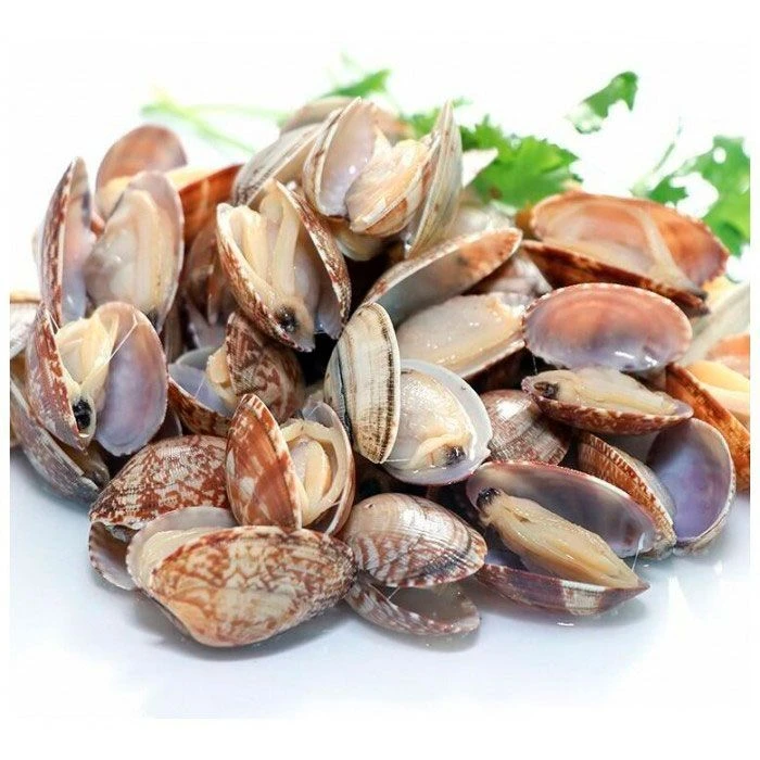 Клемы Ванголе 31/40, 0,5 кг