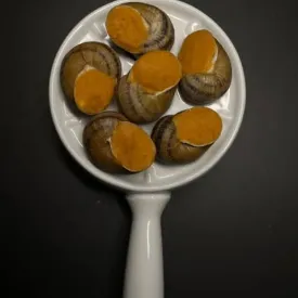 Улитки "Том-Ям", 12 шт.