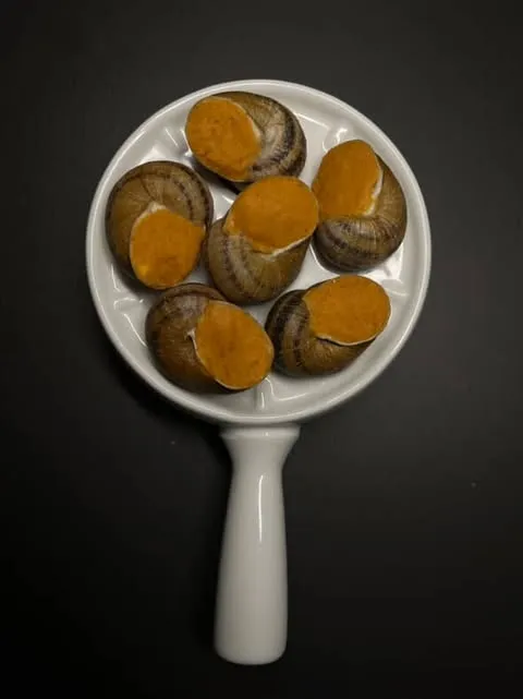 Улитки "Том-Ям", 12 шт.