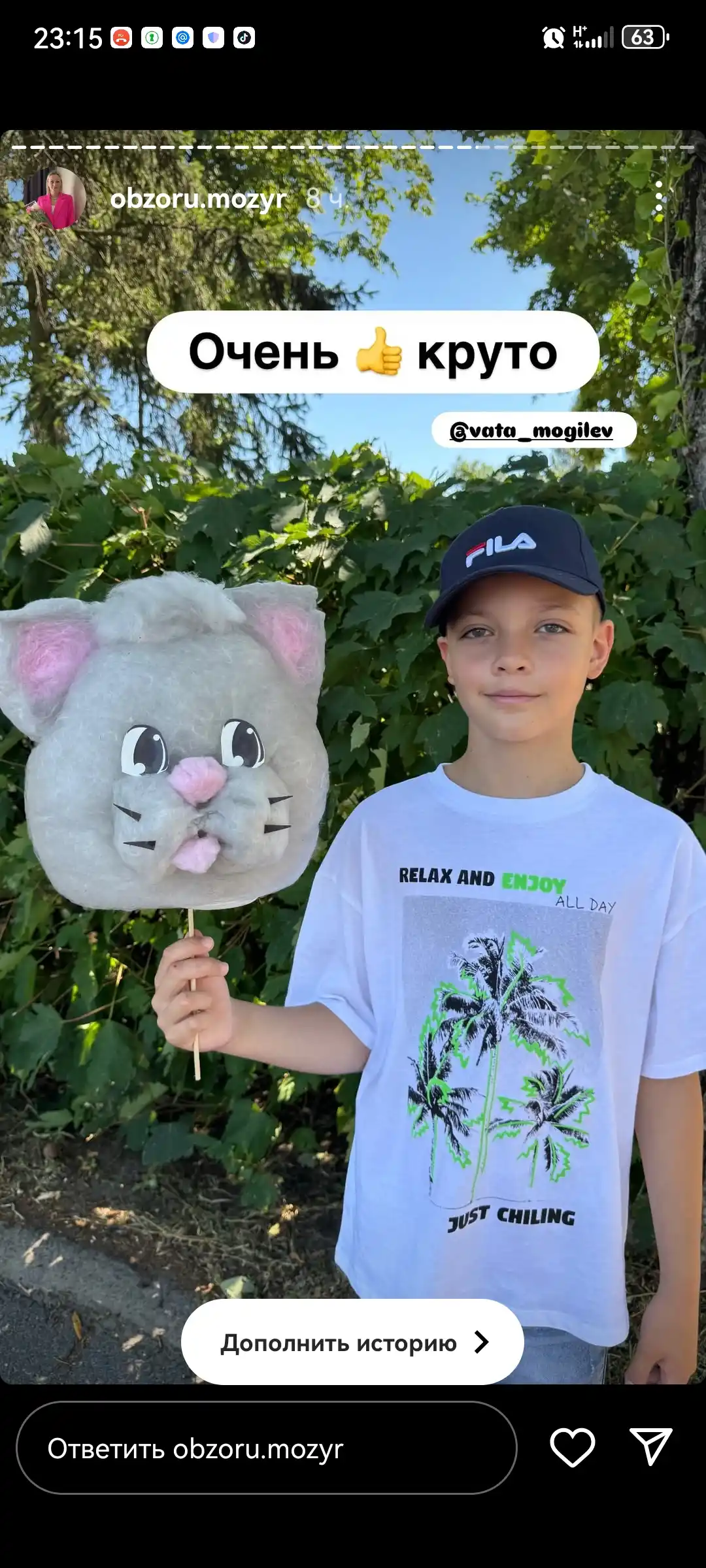 Мордочка из сахарной ваты фото 5