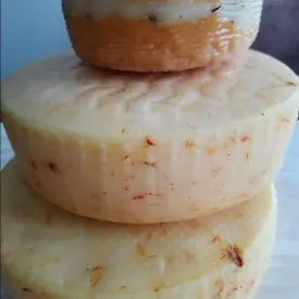 Сыры полутвердые коровьи