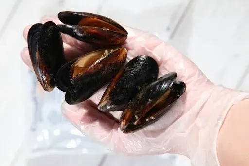 Мидии голубые в створках, 1кг. фото 3