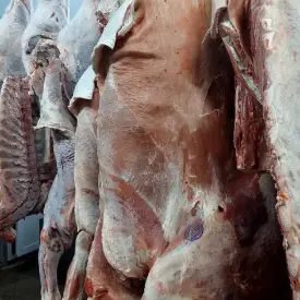 Мясо говядины в четвертинах Халяль
