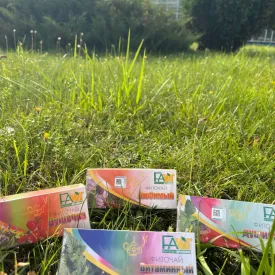 Чай Витаминный малиновый