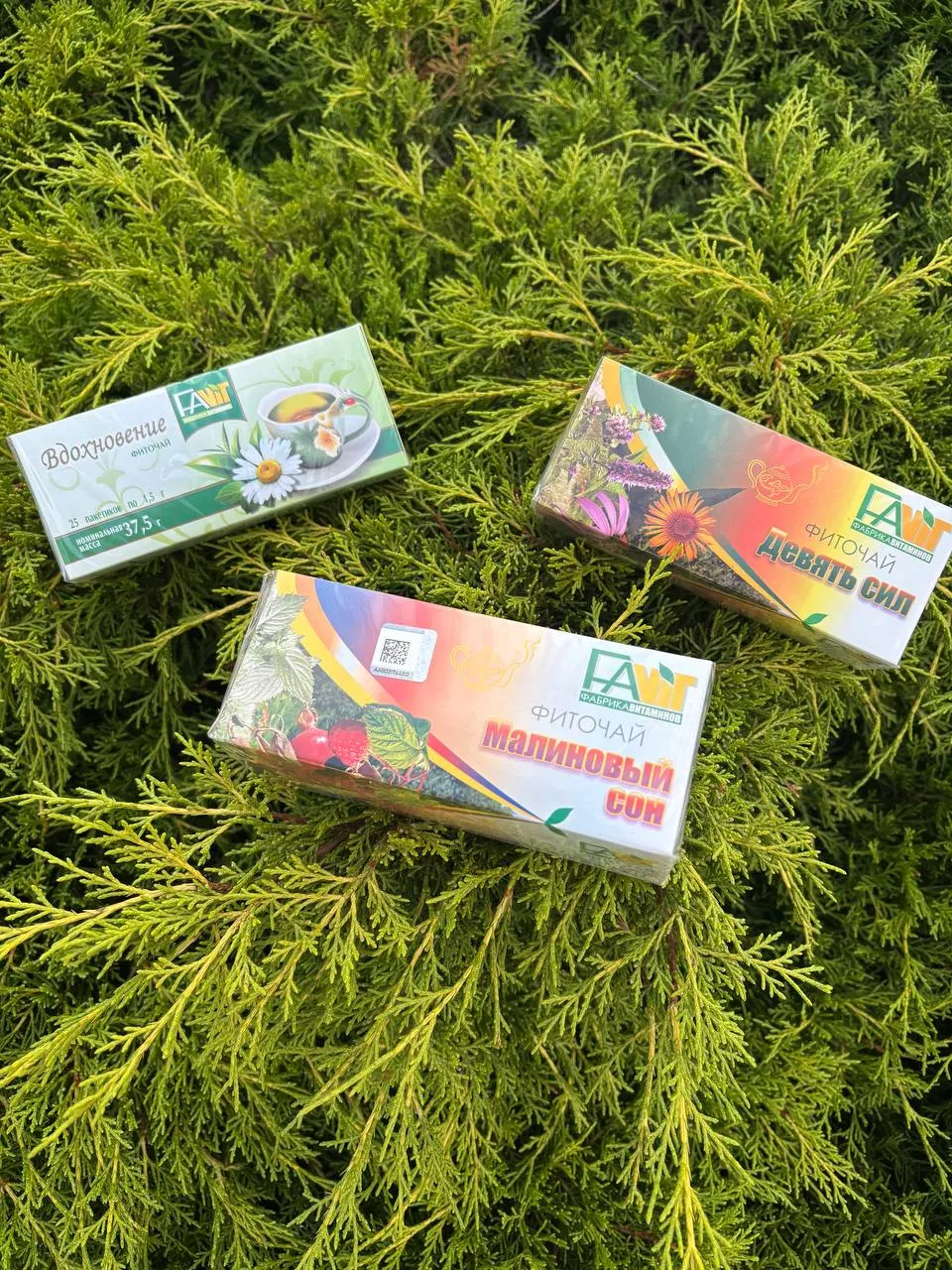 Чай Девять сил