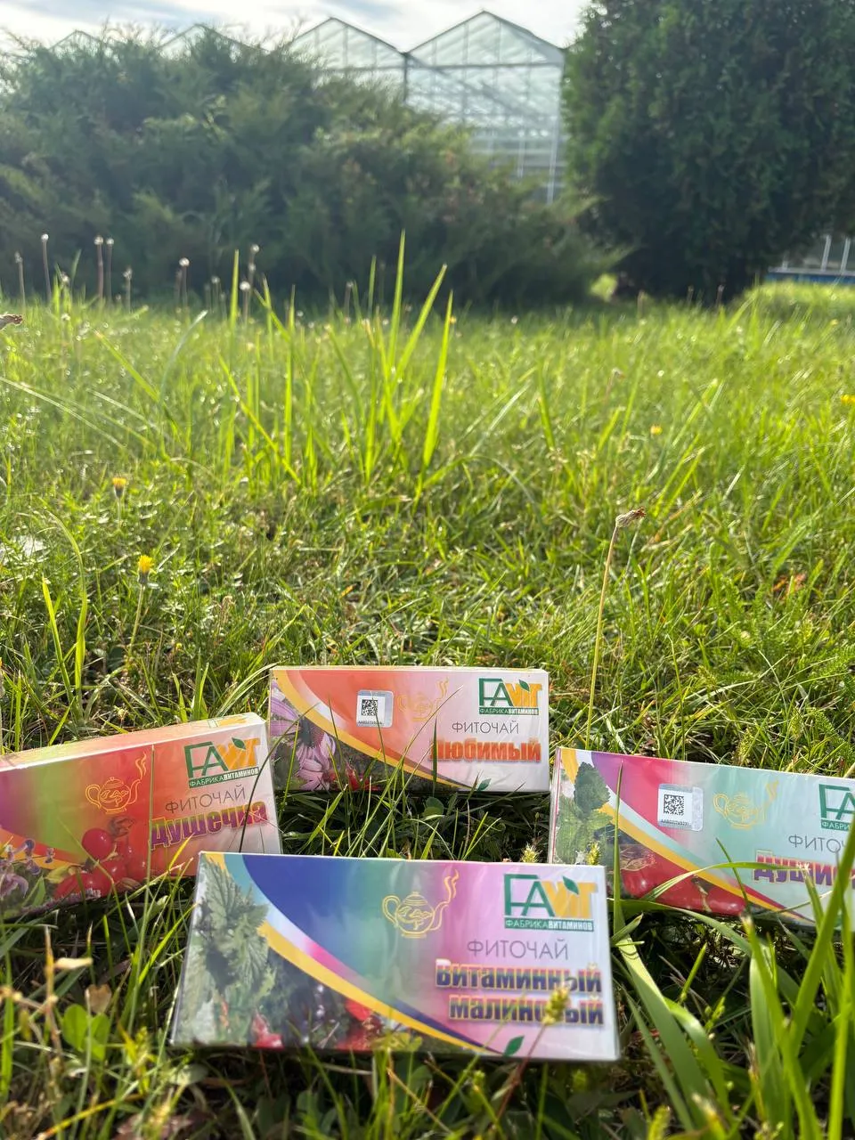 Чай Любимый