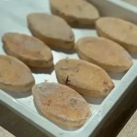 Сырники с вялеными томатами