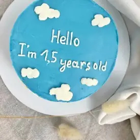 Бенто-торт "Mini" с начинкой Standart, 0.5 кг.