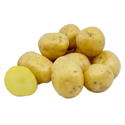 Картофель «Королева Анна»