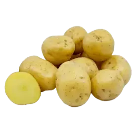 Картофель «Адретта»