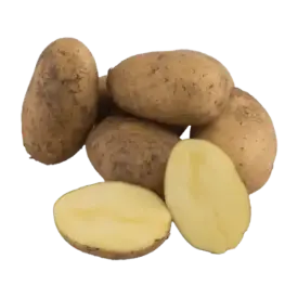 Картофель «Гала»