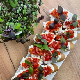 Брускетта с томатной сальсой