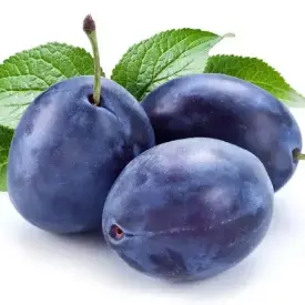Слива