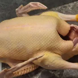 Тушка утки мулард