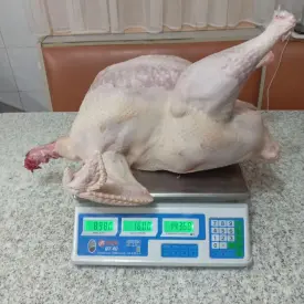 Тушка индейки