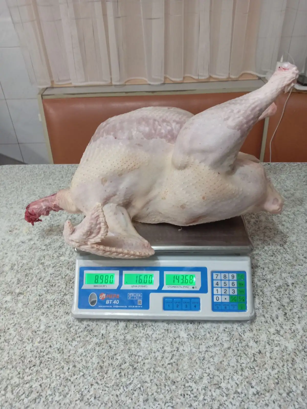 Тушка индейки