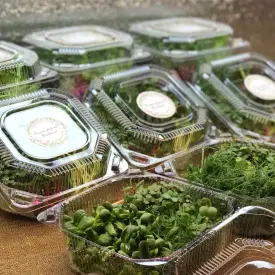 Пряные культуры, 100 г (микрозелень в срезке)