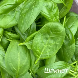 Шпинат