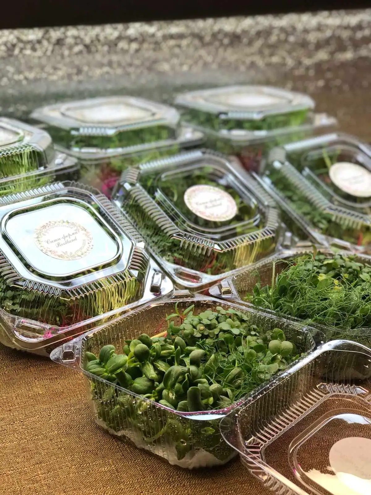 Редис, 100 г (микрозелень в срезке) фото 3