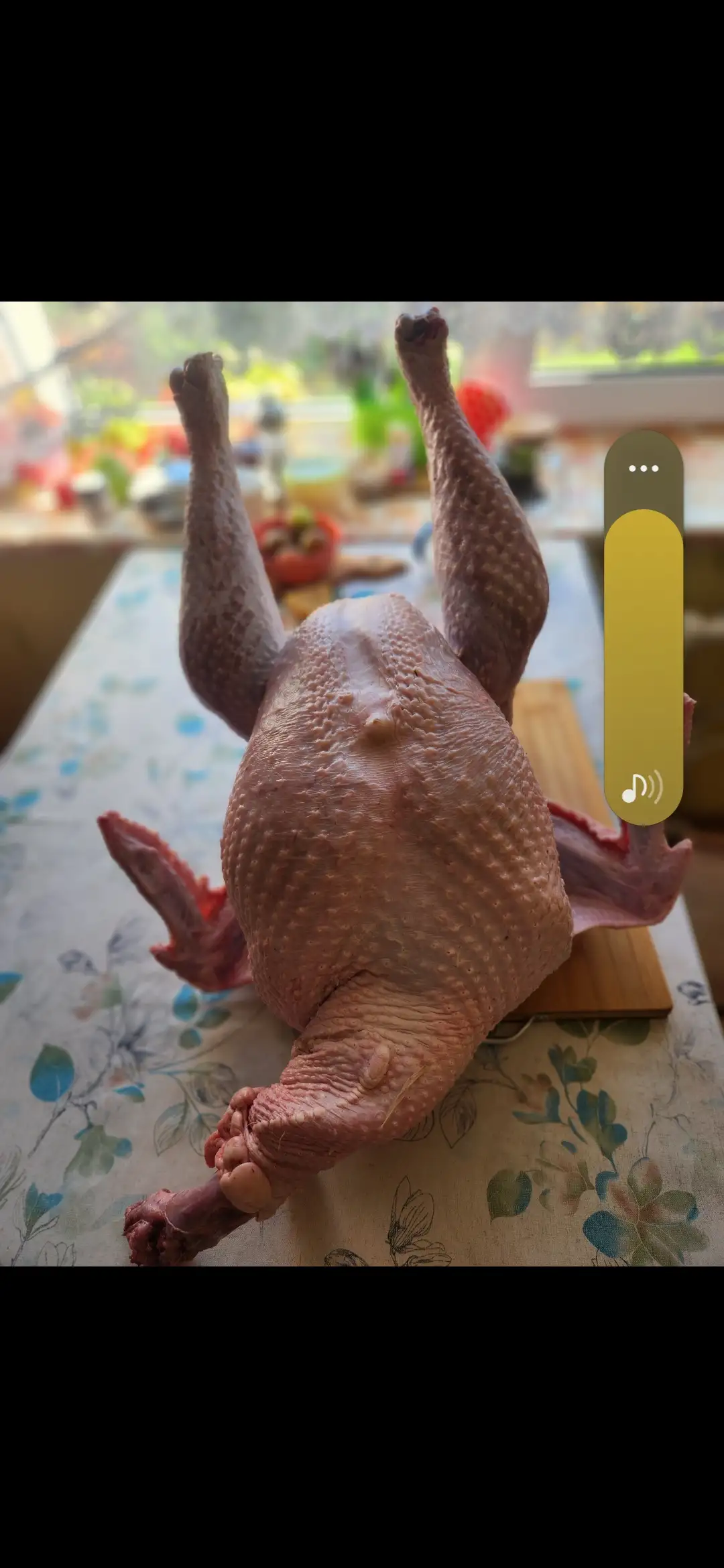 Индейка фото 1